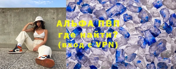 индика Нижневартовск