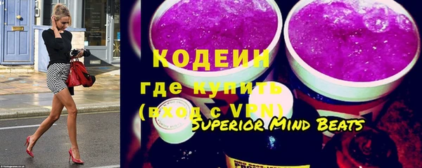индика Нижневартовск